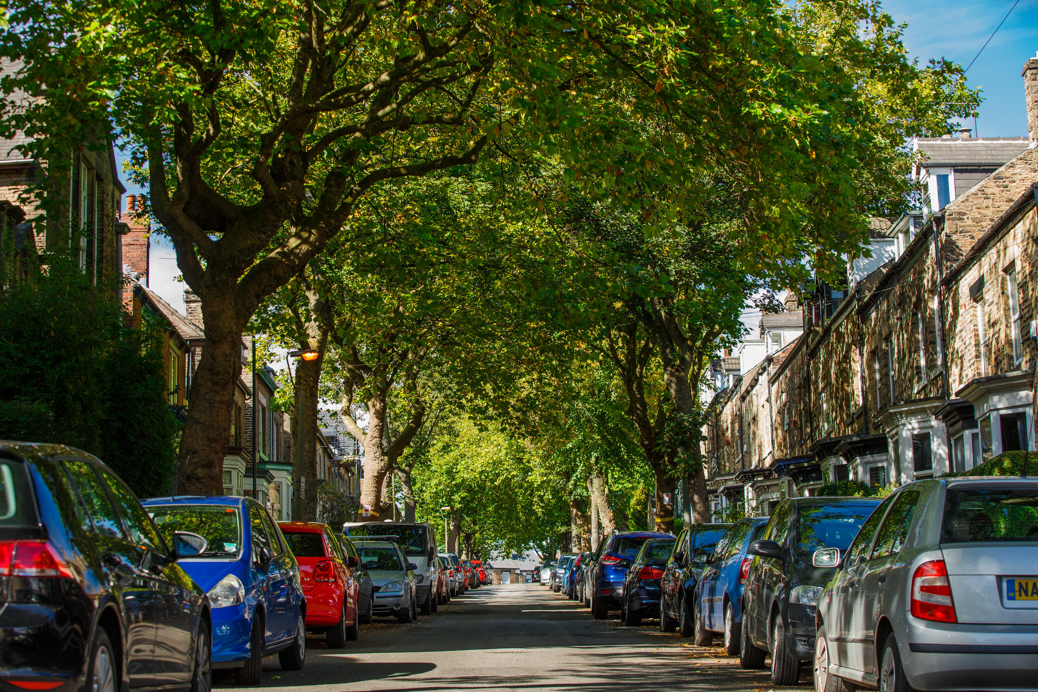 Sheffield Memorial Trees 