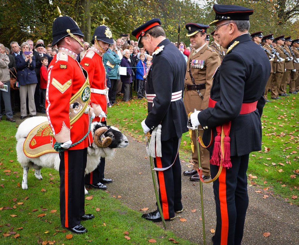 Lance Corporal Derby: A Dedication Lance Corporal Derby: A Dedication