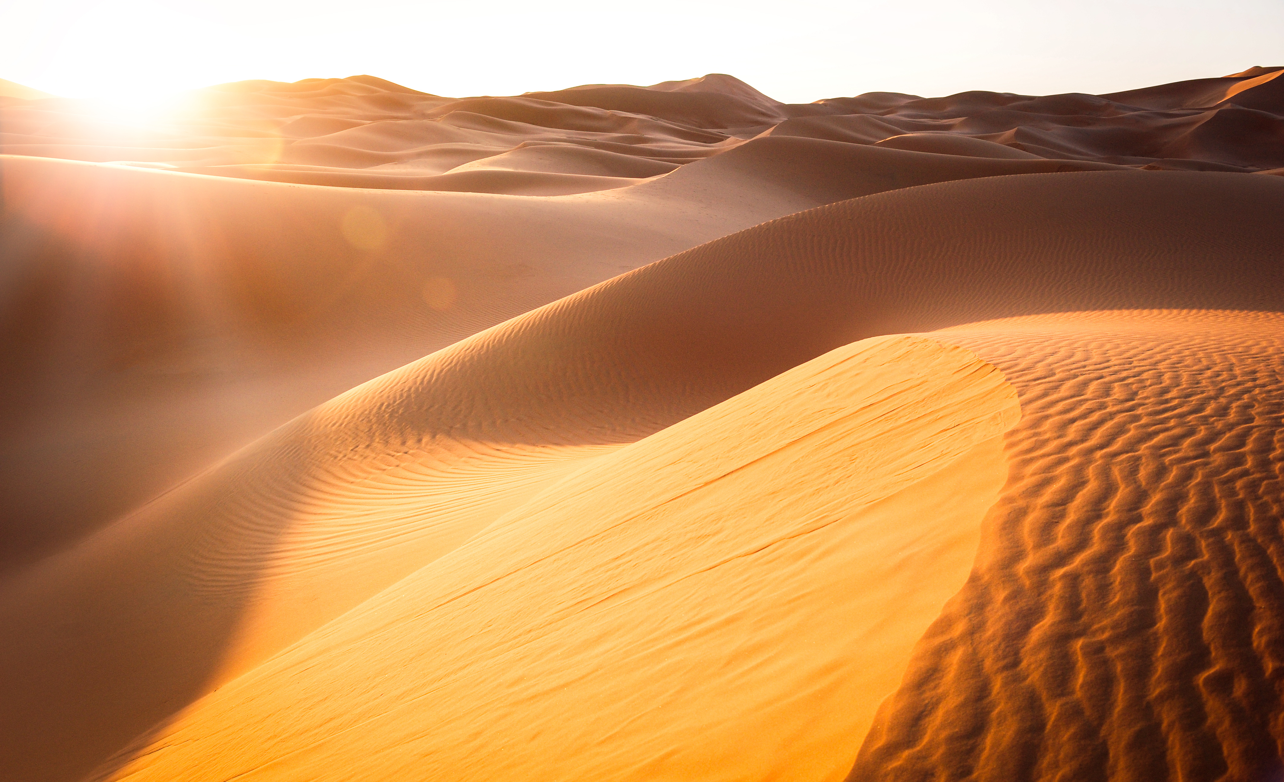 Desert Egypt. Shutterstock image 2019. bfbs digital hub