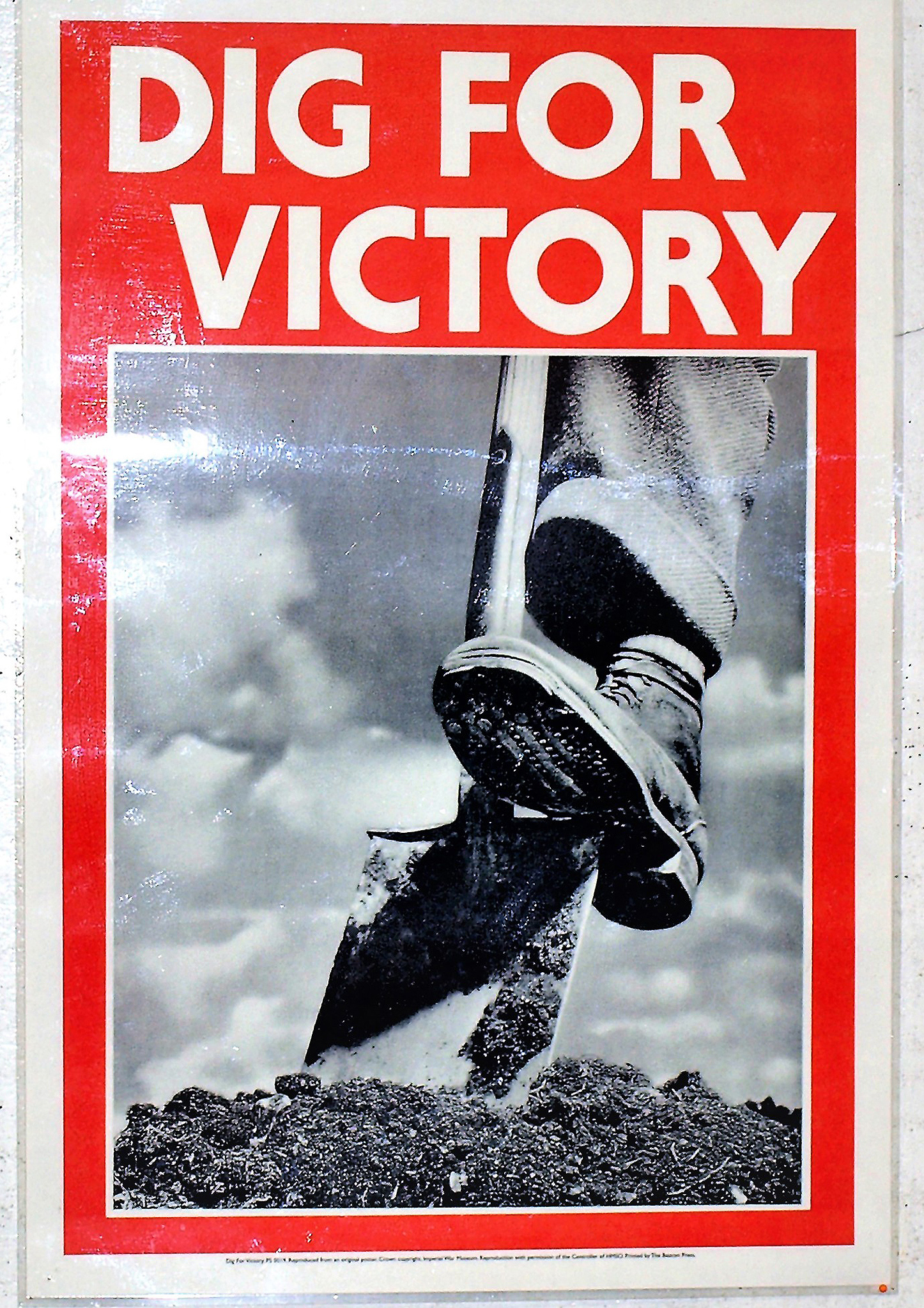 The 'Dig for Victory' campaign was set up by the British Ministry of Agriculture during WW2. Credit: Shutterstock