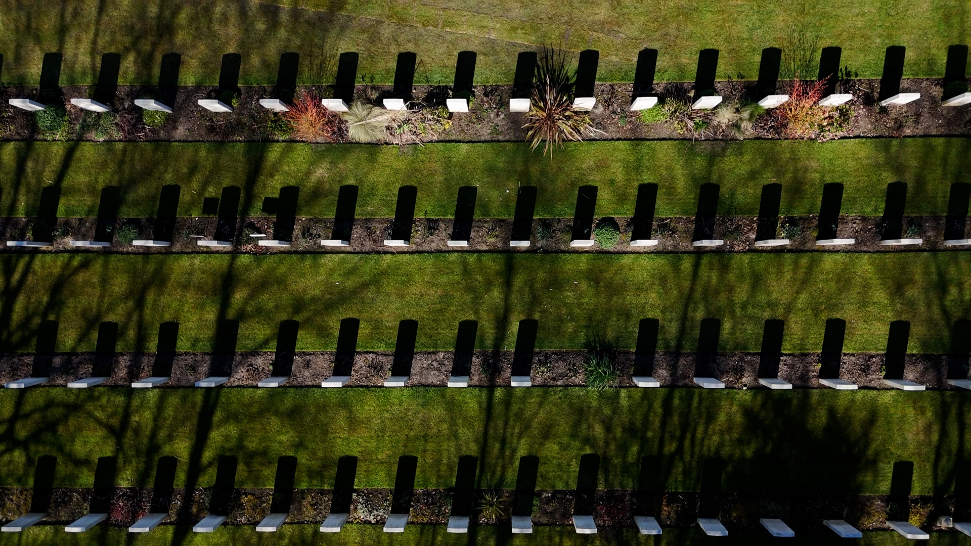 War Graves in a row
