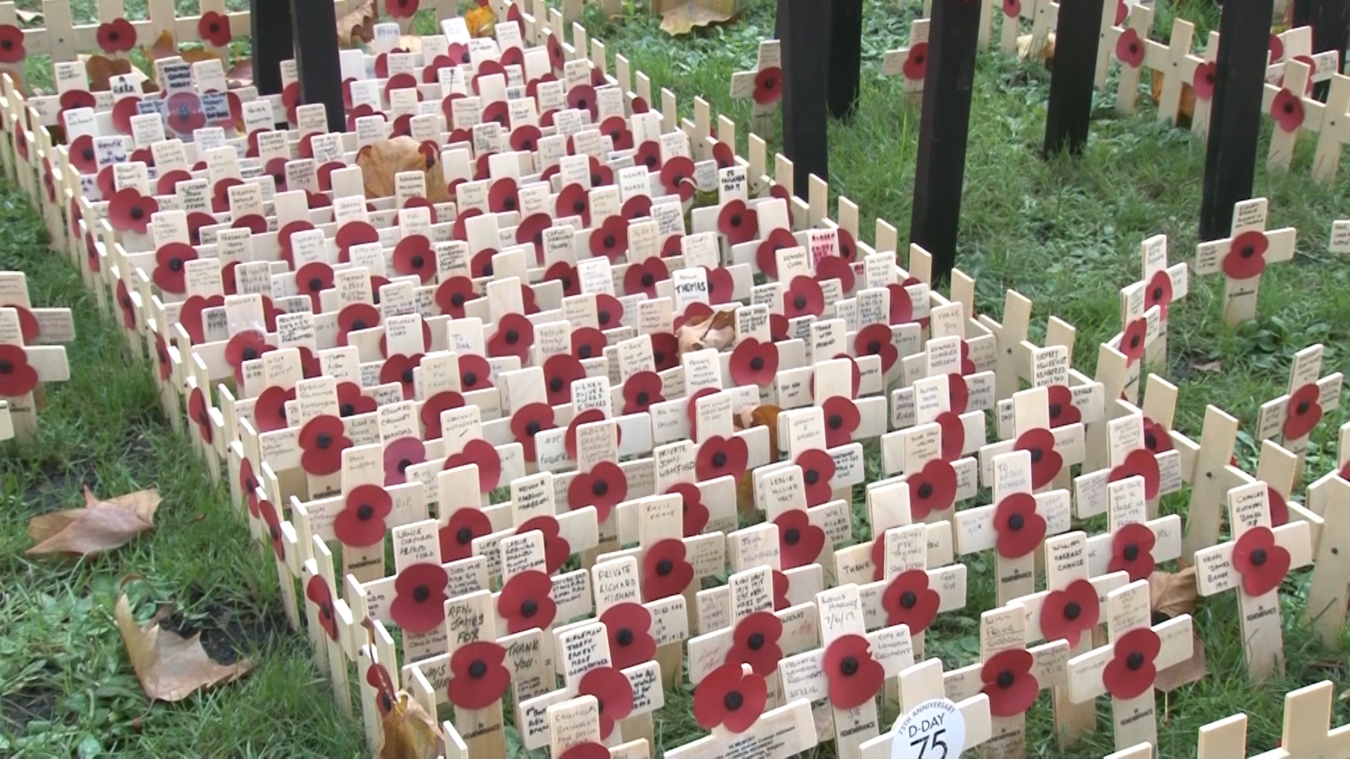 field of remembrance westminster 071119 CREDIT BFBS.jpg 