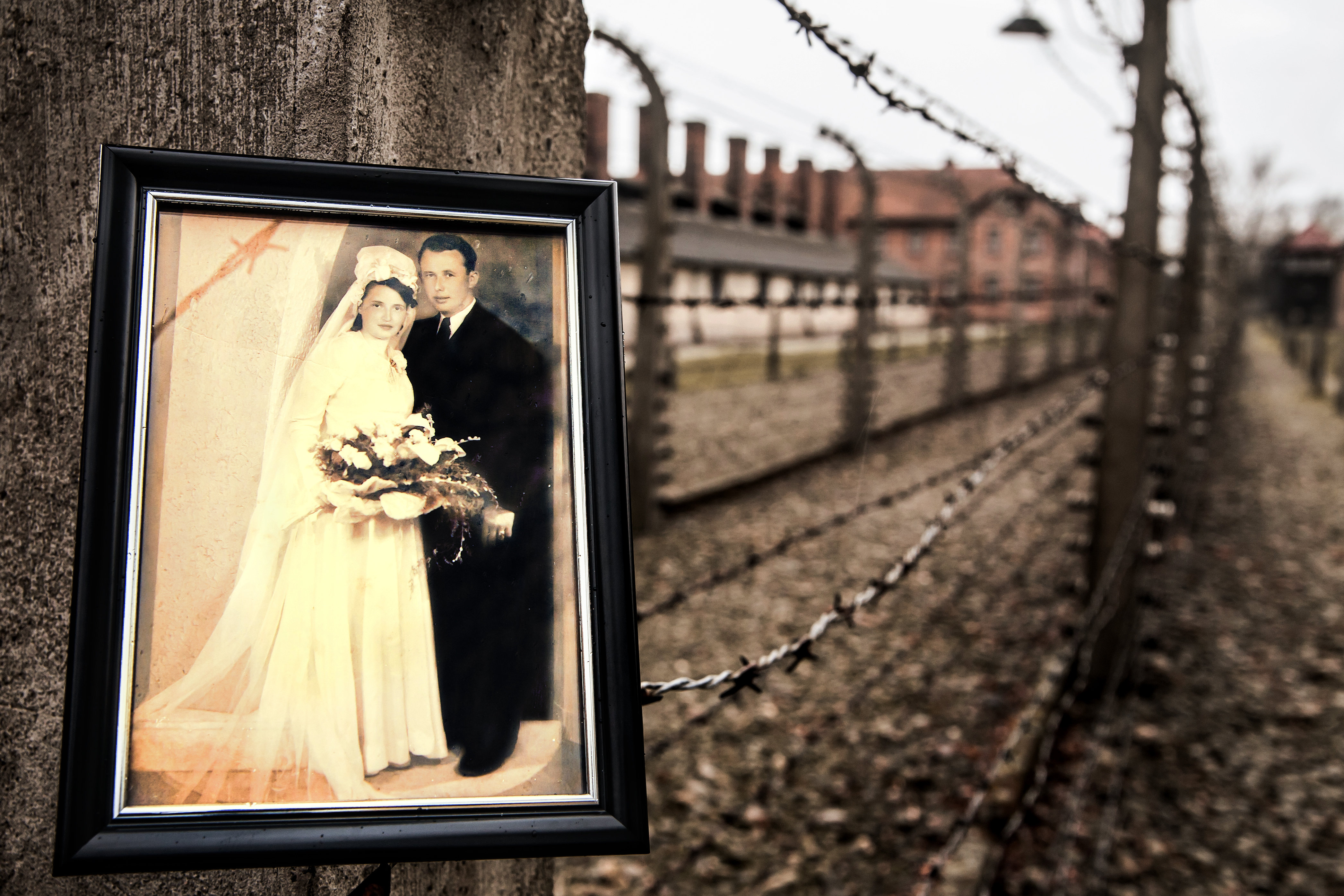 Auschwitz photos 