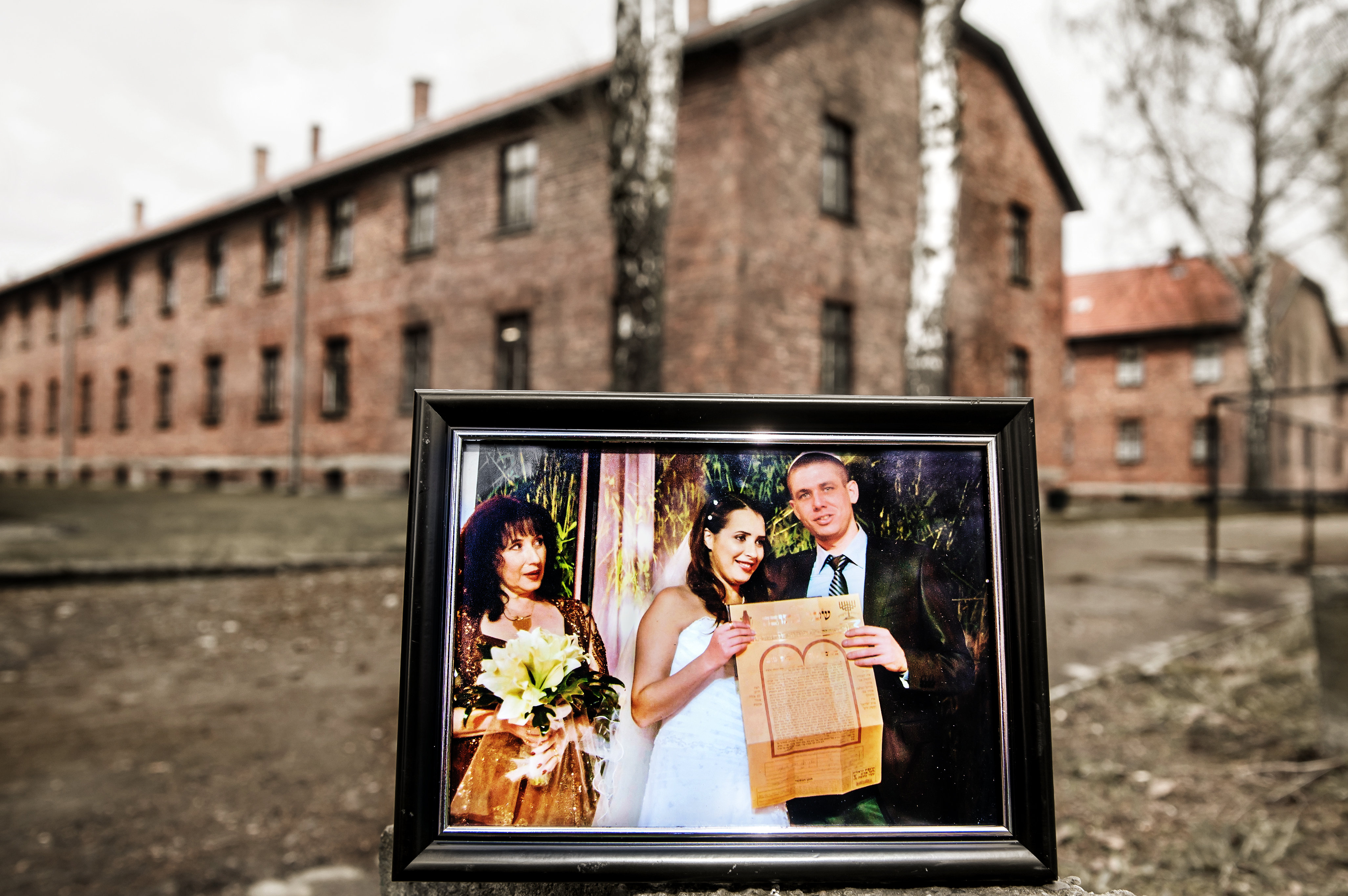 Auschwitz photos 