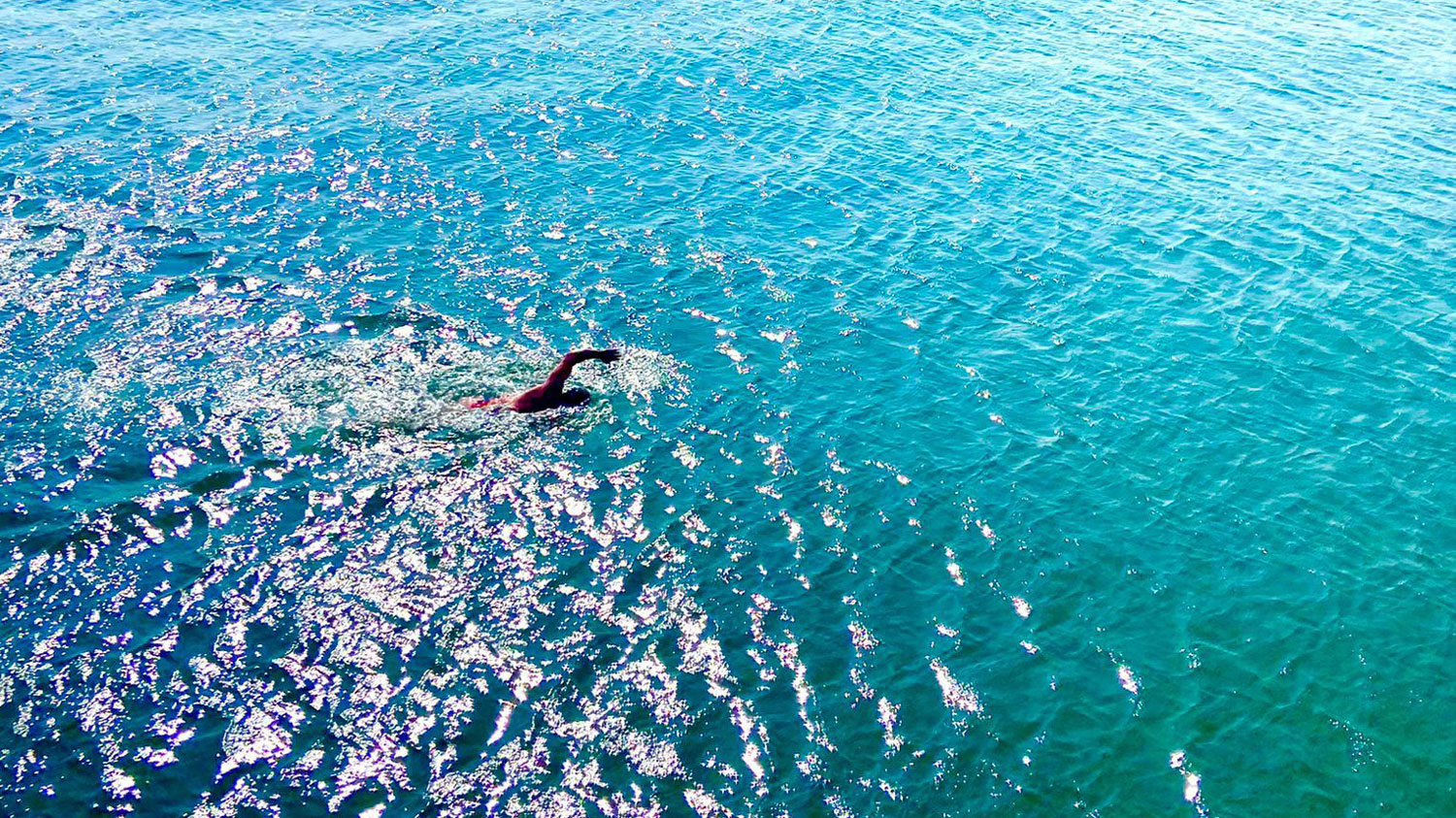 Former Marine Commando Paul Wood has swum 325 miles since the Autumn to train for the 30 mile challenge CREDIT WO2 (Retired) Paul Wood
