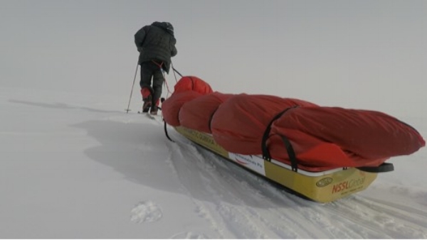 Bessie Sled