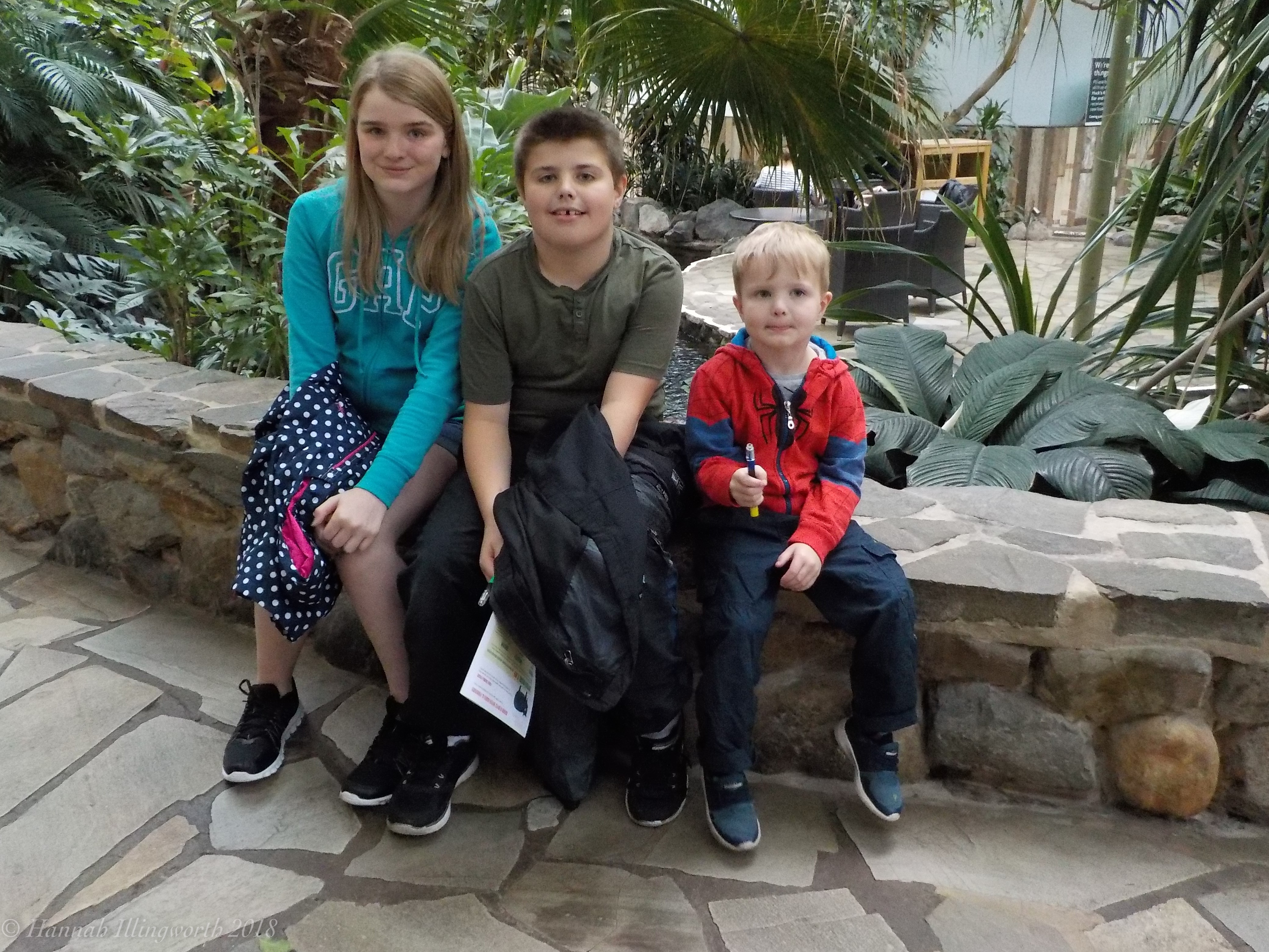 Young Carers