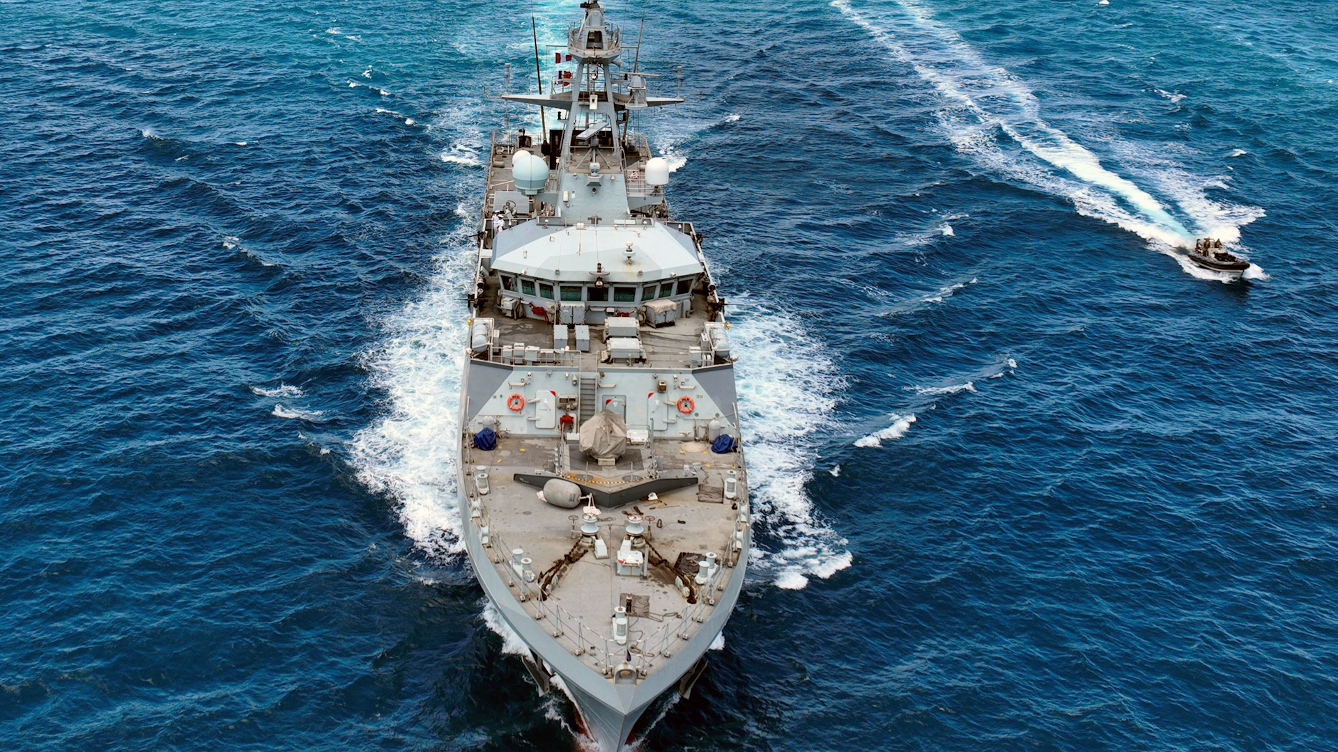 HMS Tamar has protected rare species in the Indian Ocean (Picture: Royal Navy).