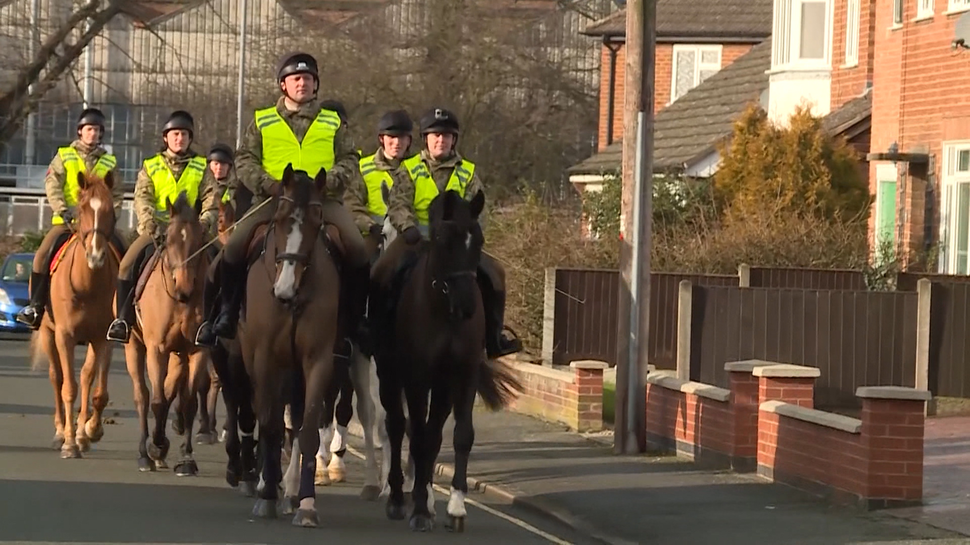 horse surprise parade