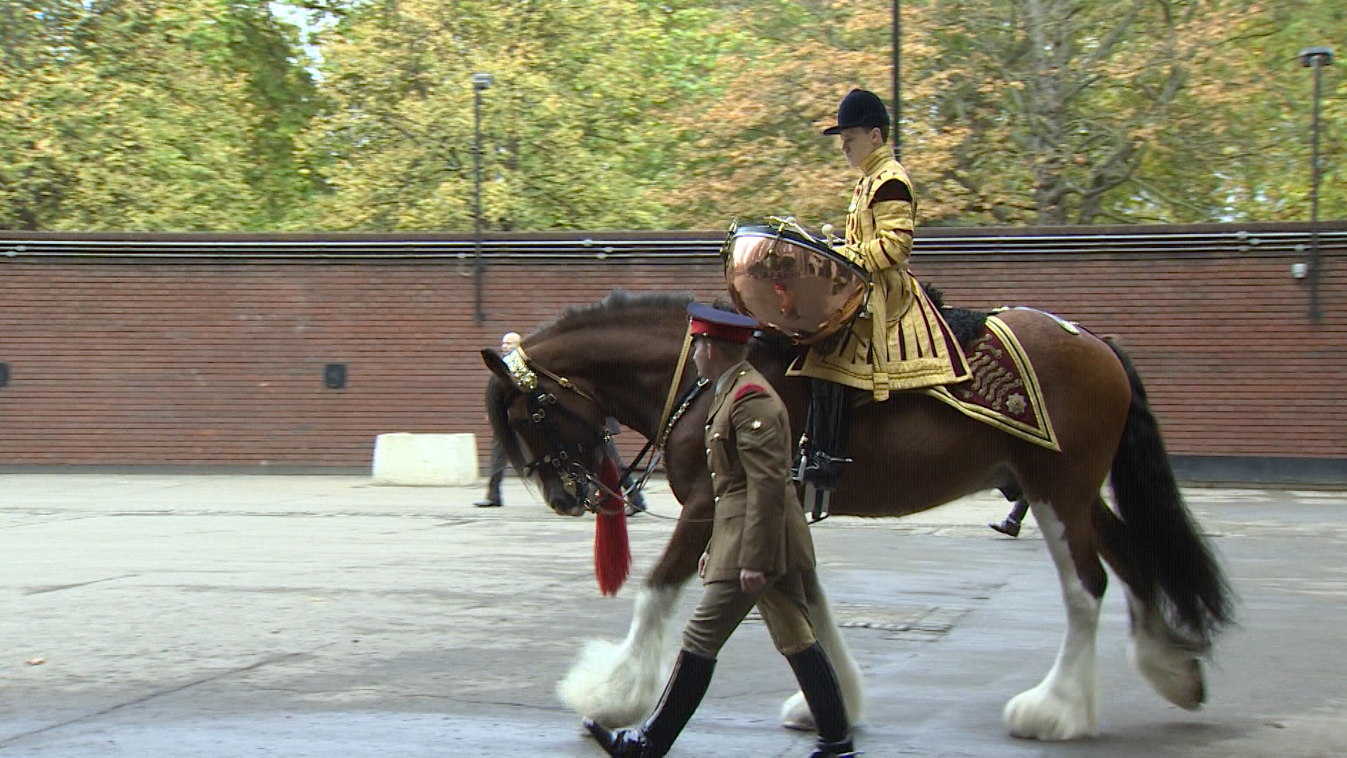Drum Horse at Hyde Park barracks