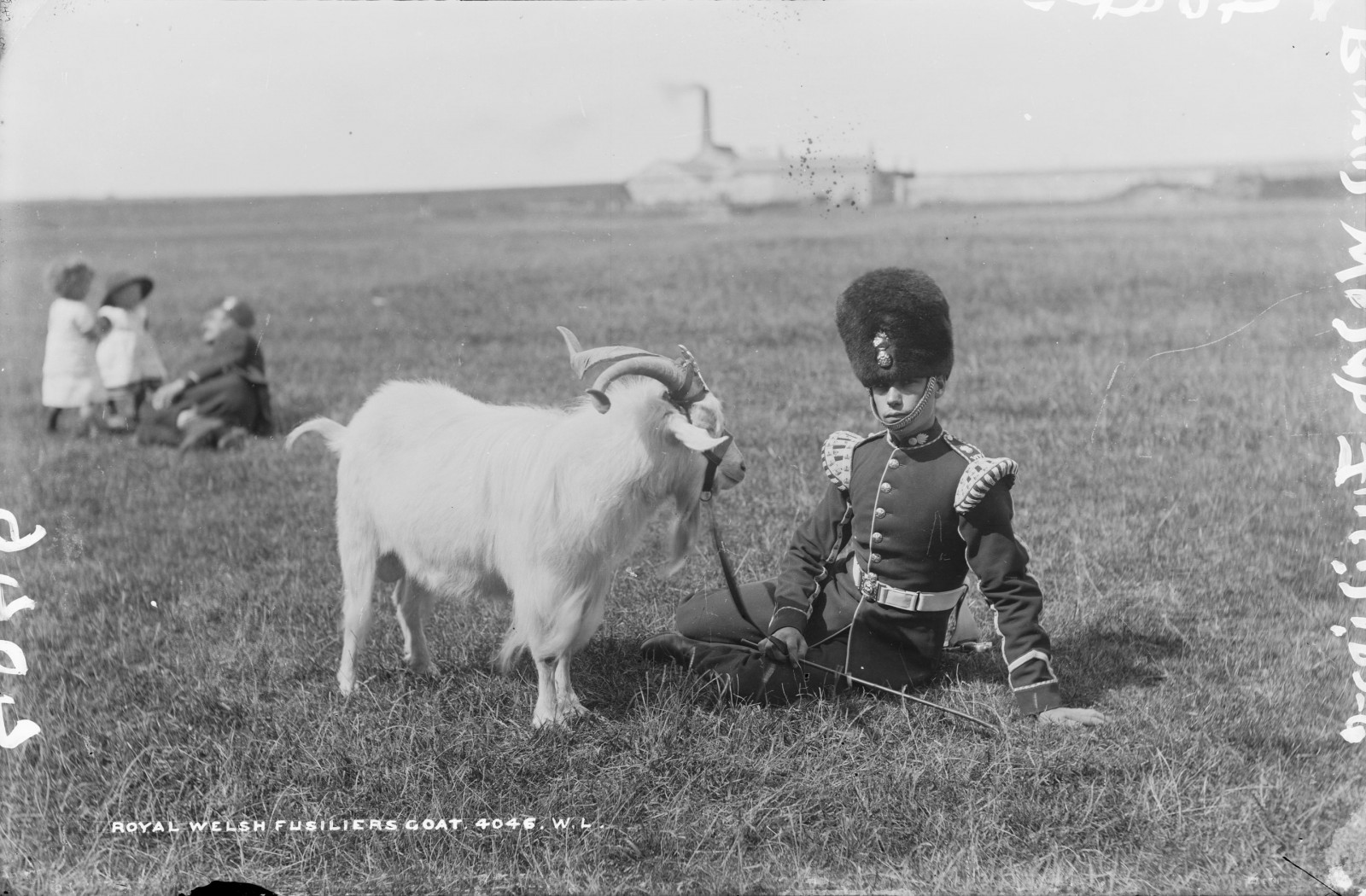 Royal Welsh Fusilier with the Regimental Goat,