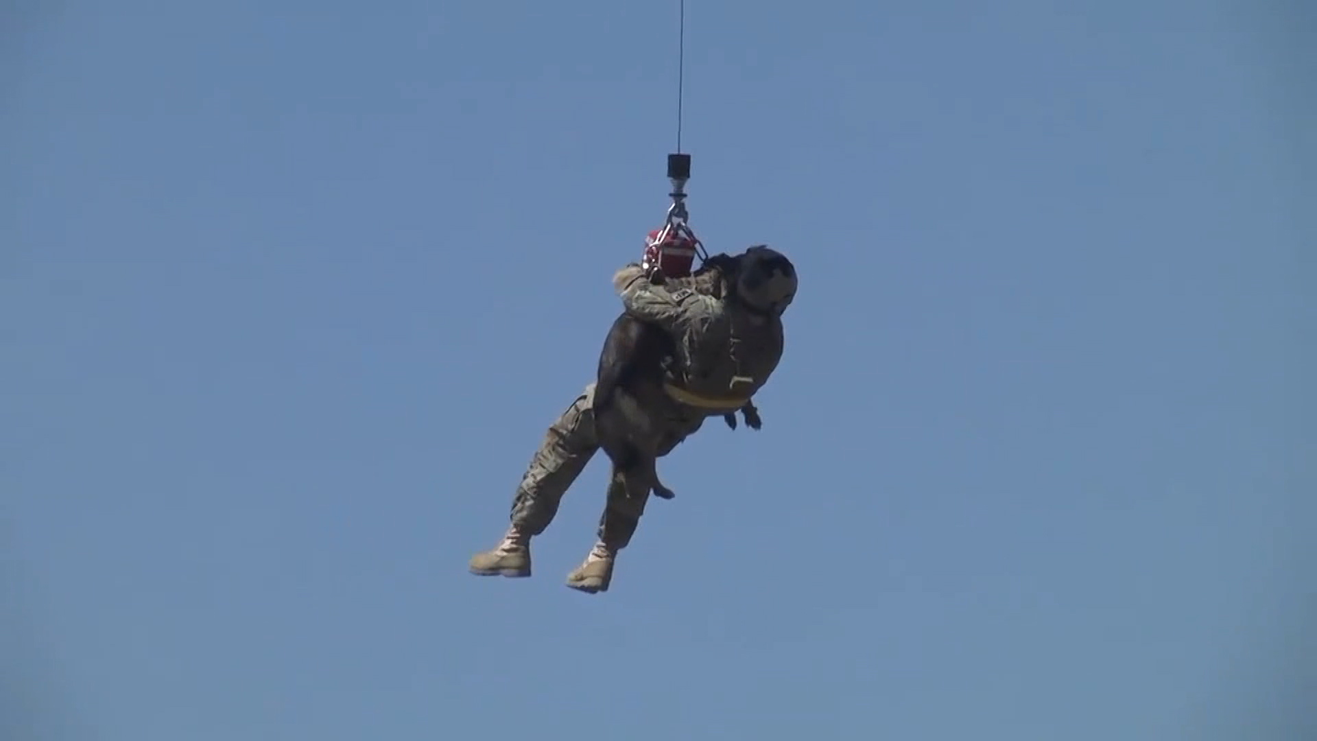 k9 hoist procedure in Kosovo 240119 CREDIT US Department of Defense