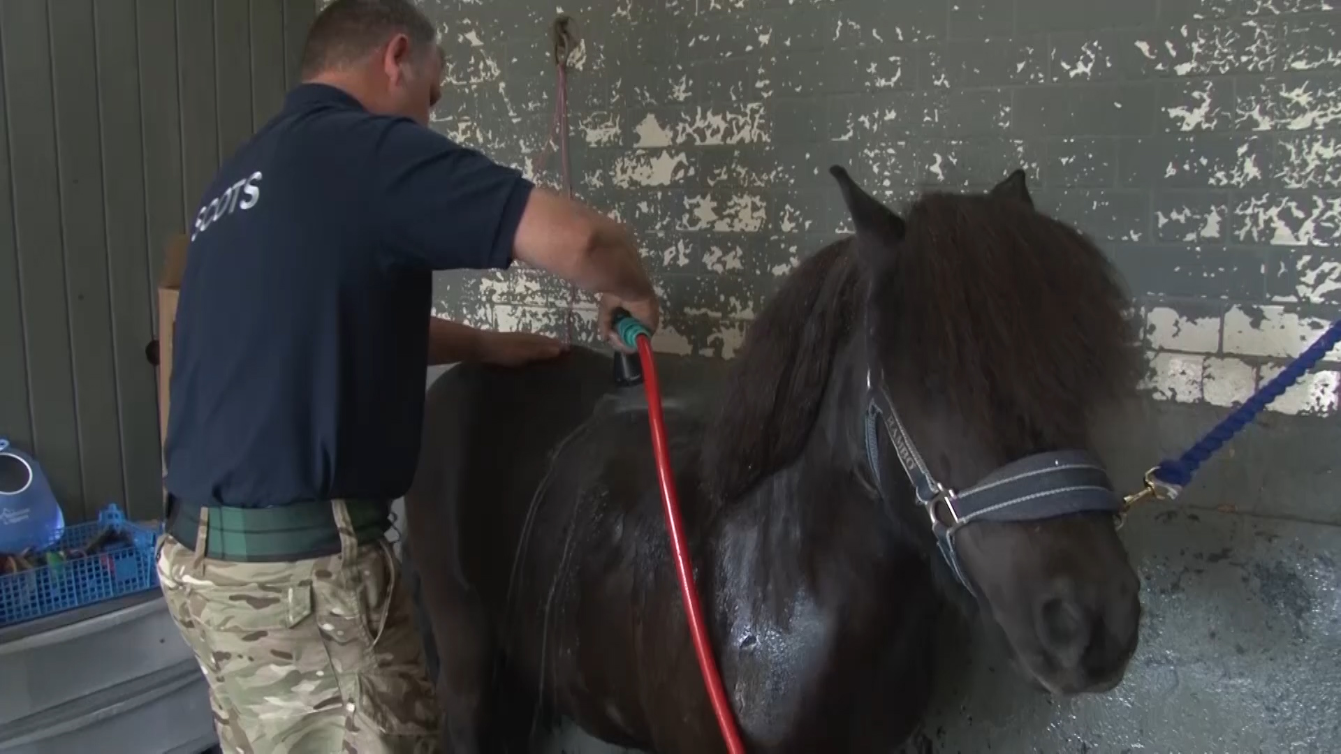 Corporal Cruachan