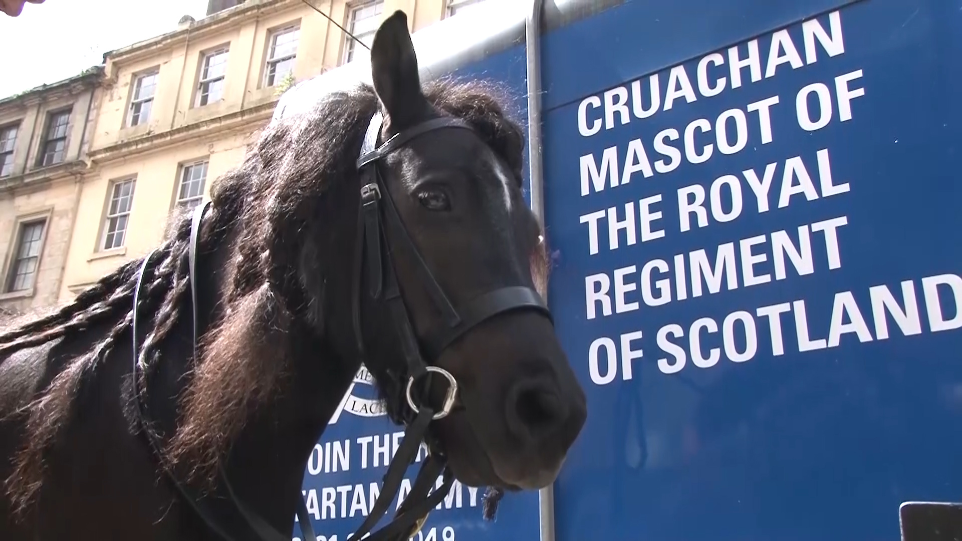 Corporal Cruachan