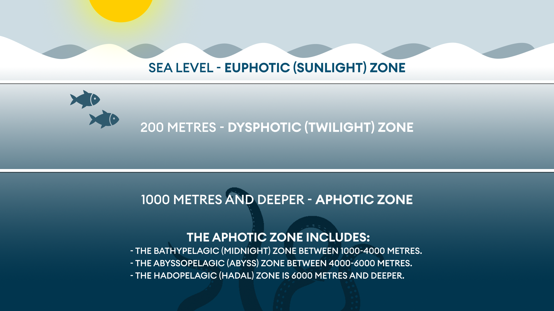 How far light travels in water explainer graphic CREDIT BFBS