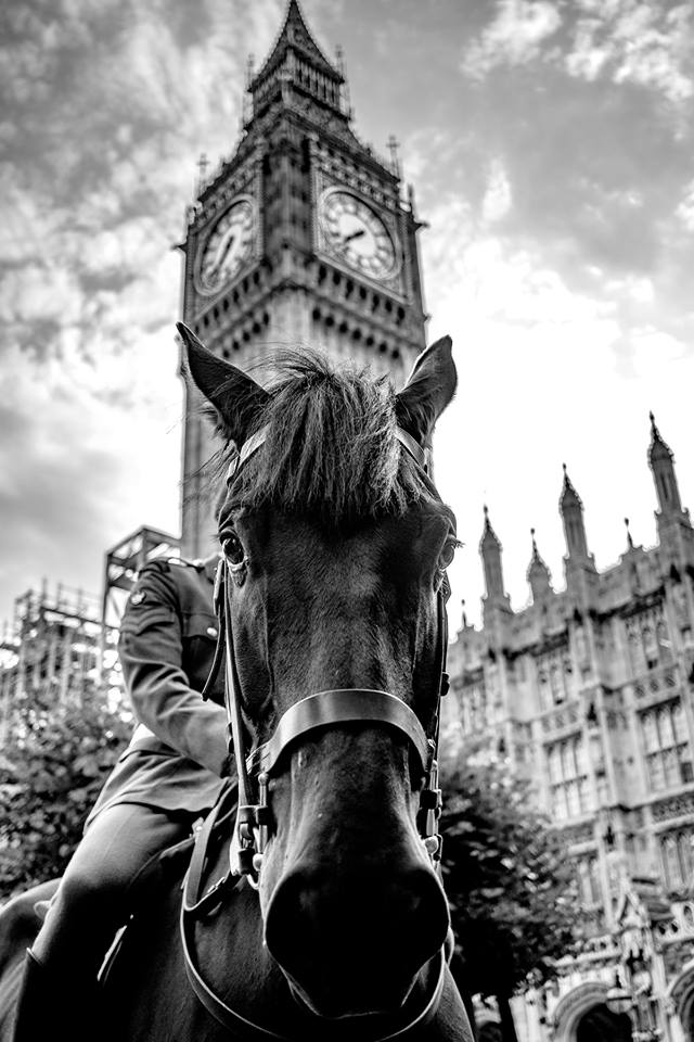 Army Photography Competition