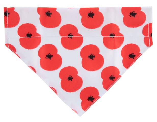 Poppy Bandana. Credit Royal British Legion and Pets At Home