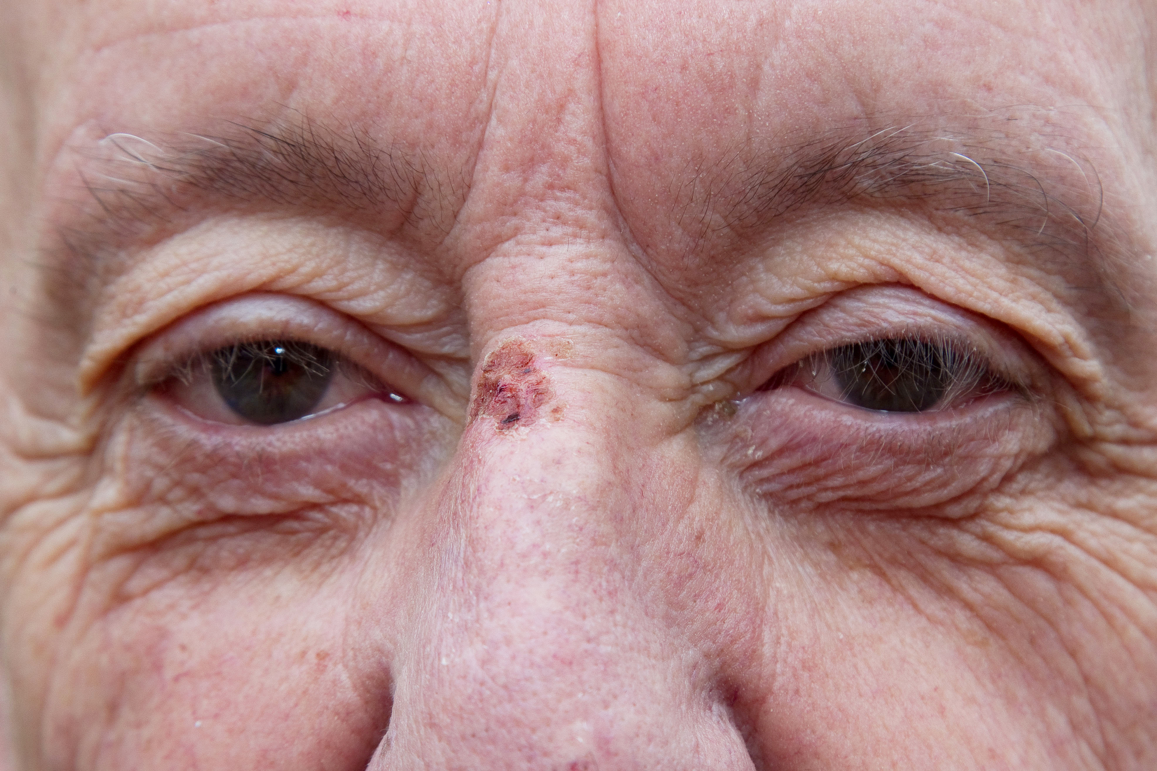 Grandfather Kieran Sharp Poppy Thieves