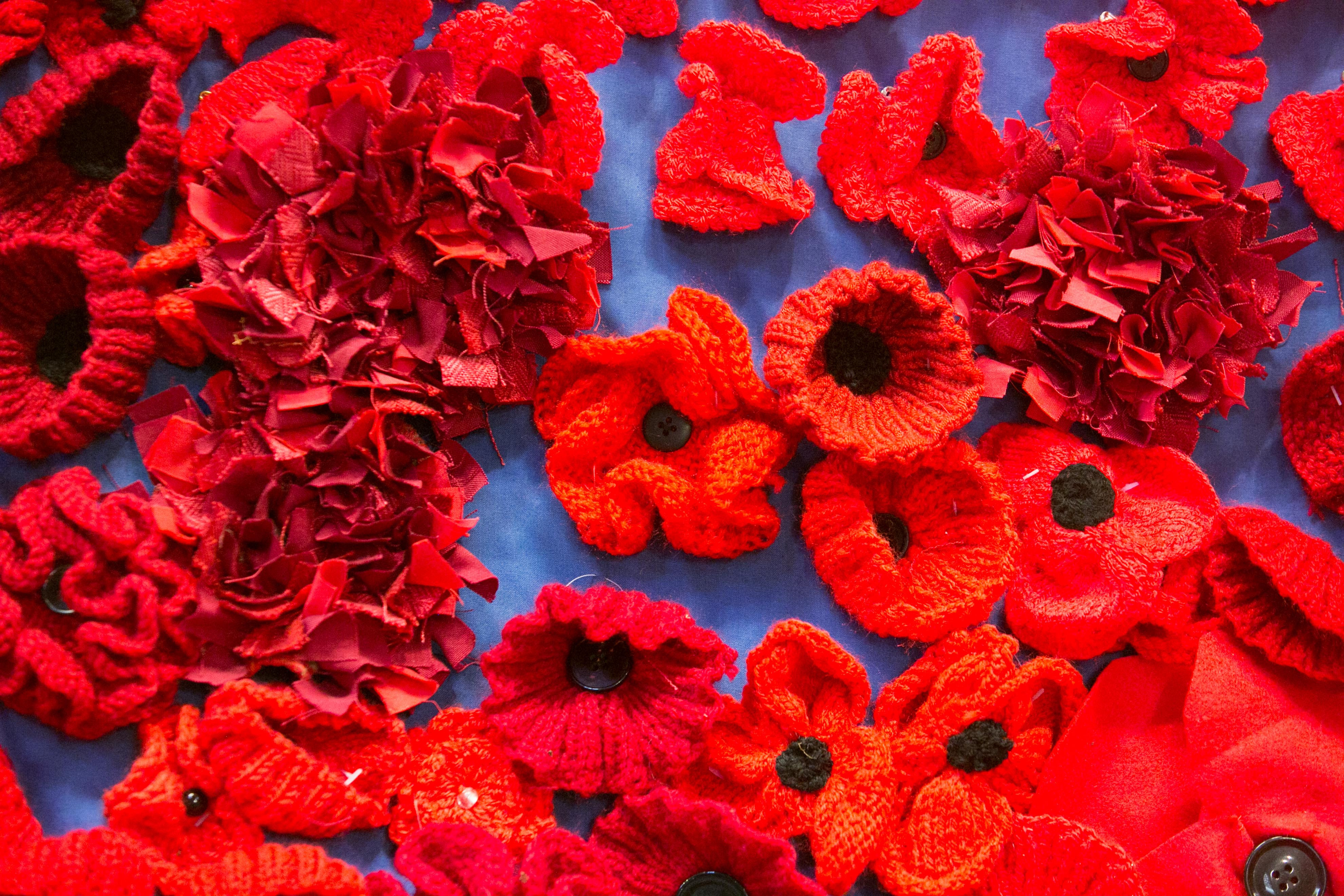 Exeter Cathedral Poppies 071117