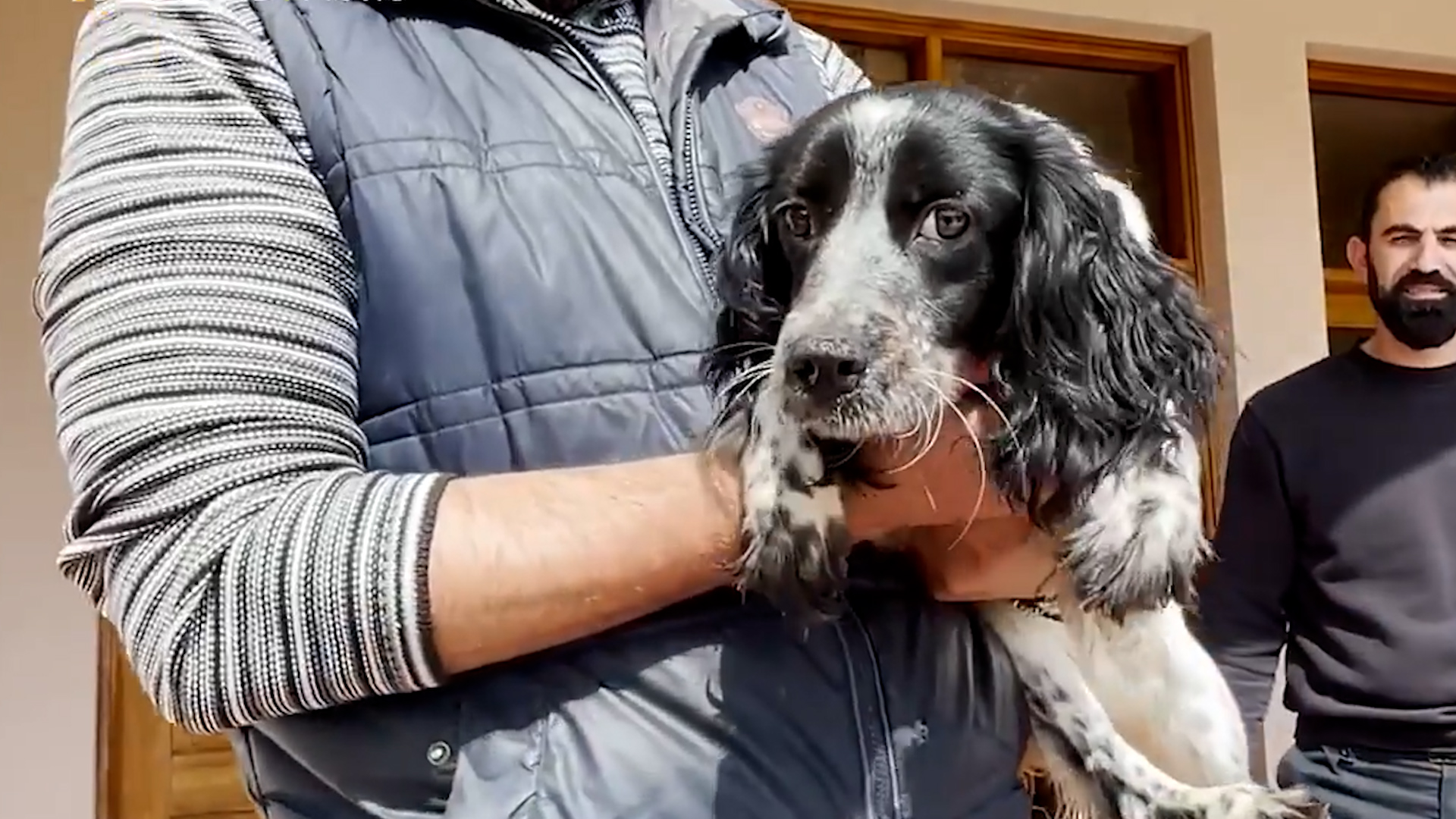 Rescued dog outside SBA Police Station (Picture: BFCyprus)