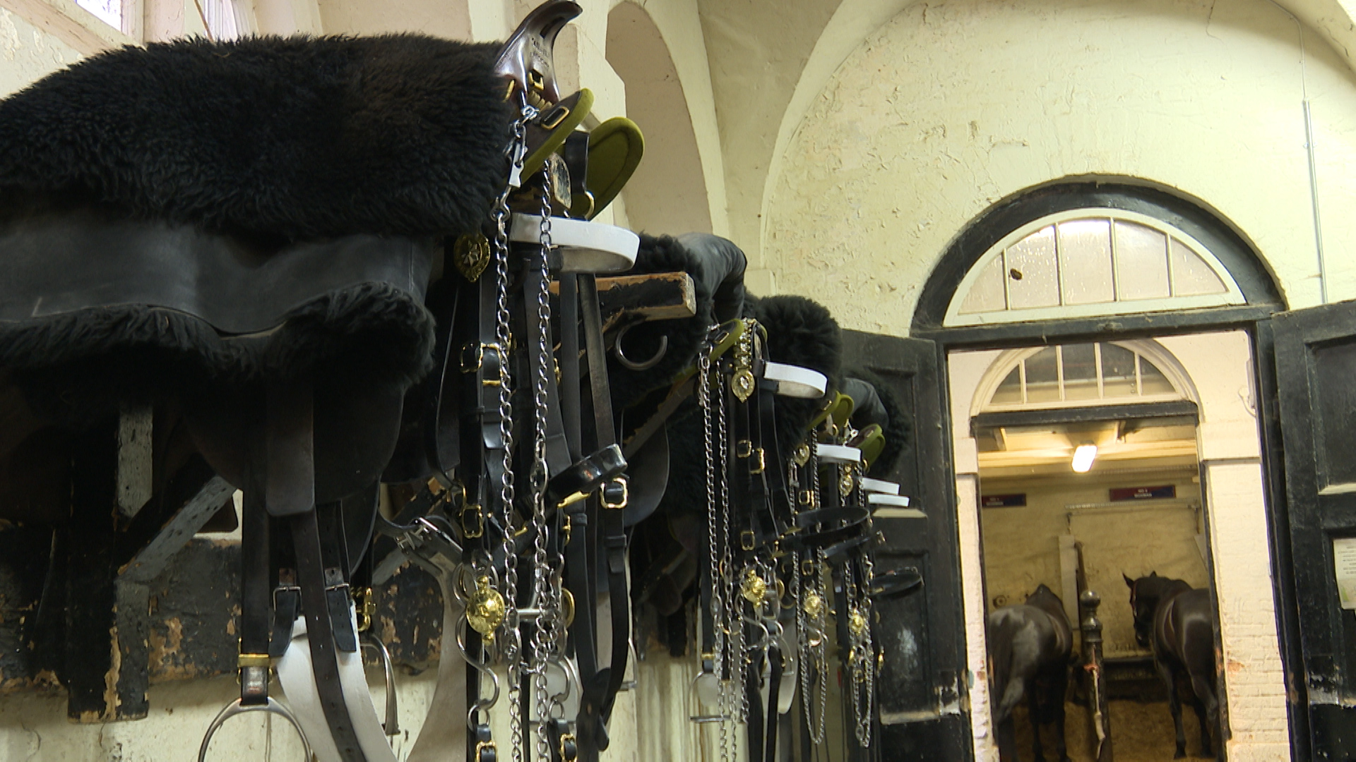 Saddles 