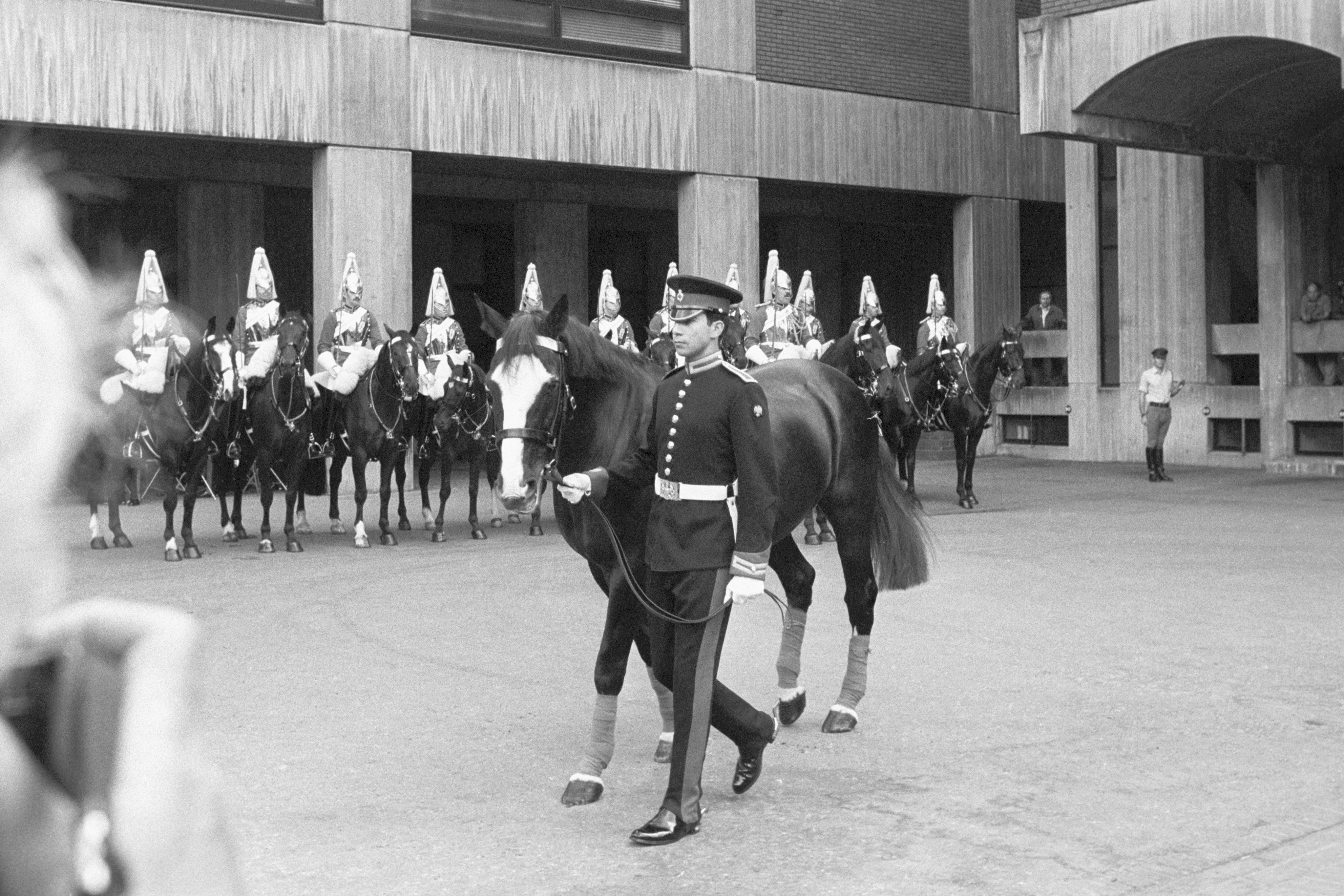 Sefton the horse survivor of Hyde Park bombing upon retirement credit ALAMY 26052022