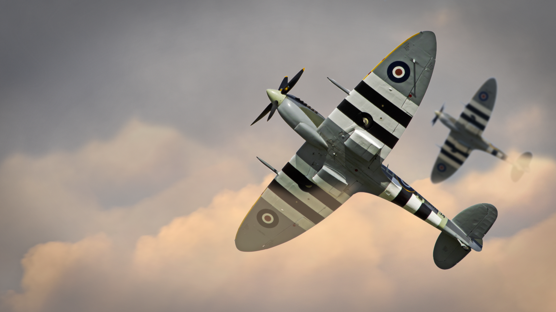Spitfires. Elaine Holtom graphic 2019 BFBS