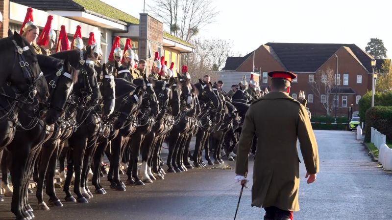 Pomp and precision as Household Cavalry welcomes German leader on state visit