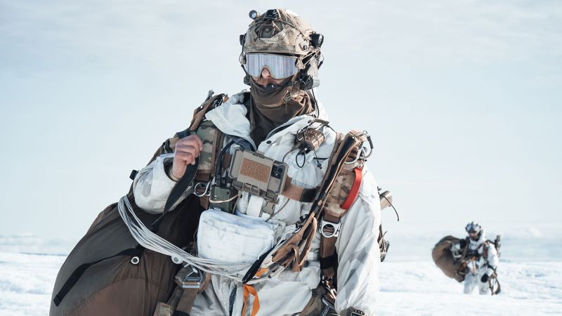 Greenland: Denmark's capabilities in focus as Euro leaders back region despite Trump's threats