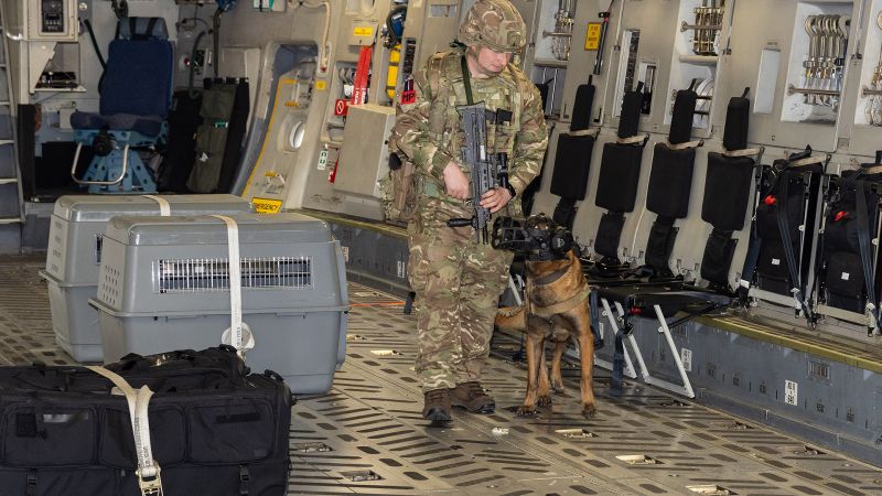 Military Working Dog Handlers deploy to Akrotiri to support British assets amid Iran war
