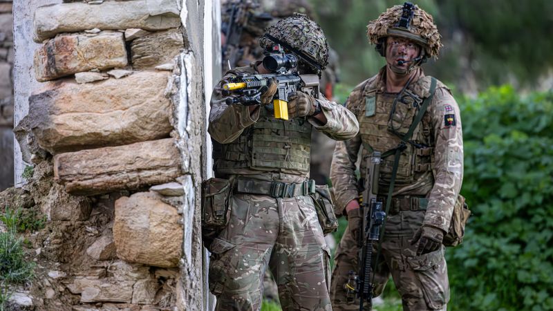 Ex Kronos Warrior: Grenadier Guards swap royal palaces for ruins in Cyprus