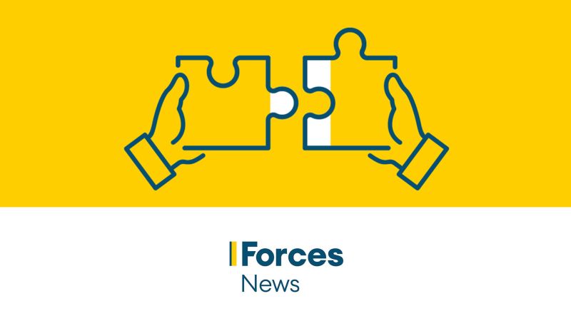 Audience support page Forces News logo only CREDIT BFBS
