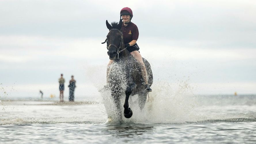 Household Cavalry Horses Hayling Island cred MOD