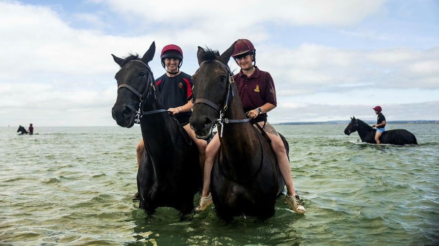Household Cavalry Horses Hayling Island cred MOD