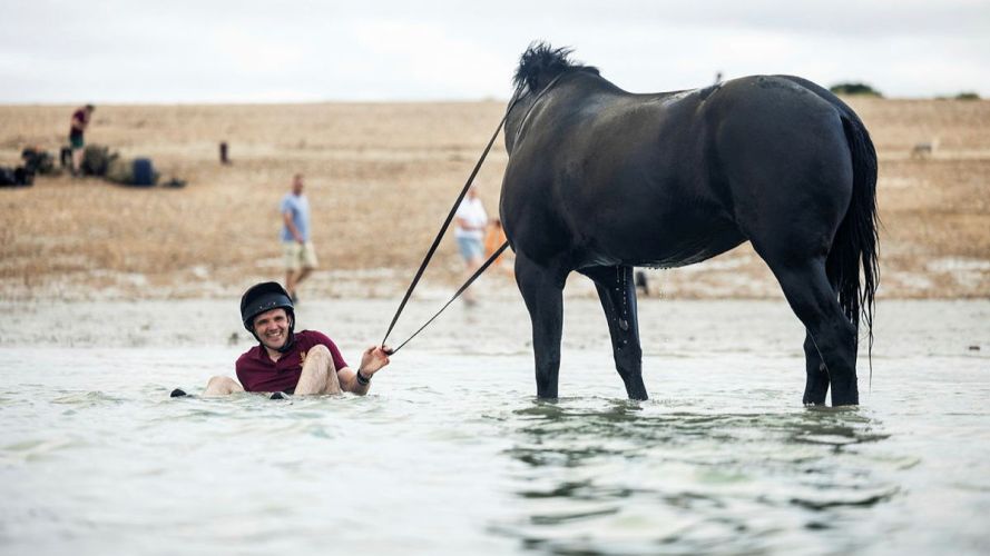 Household Cavalry Horses Hayling Island cred MOD