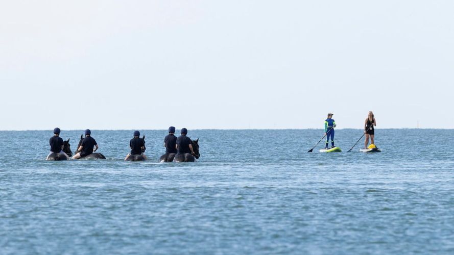 Household Cavalry Horses Hayling Island cred MOD