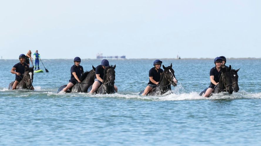 Household Cavalry Horses Hayling Island cred MOD