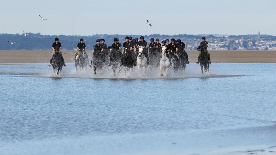 Household Cavalry Horses Hayling Island cred MOD