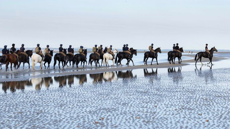 Household Cavalry Horses Hayling Island cred MOD
