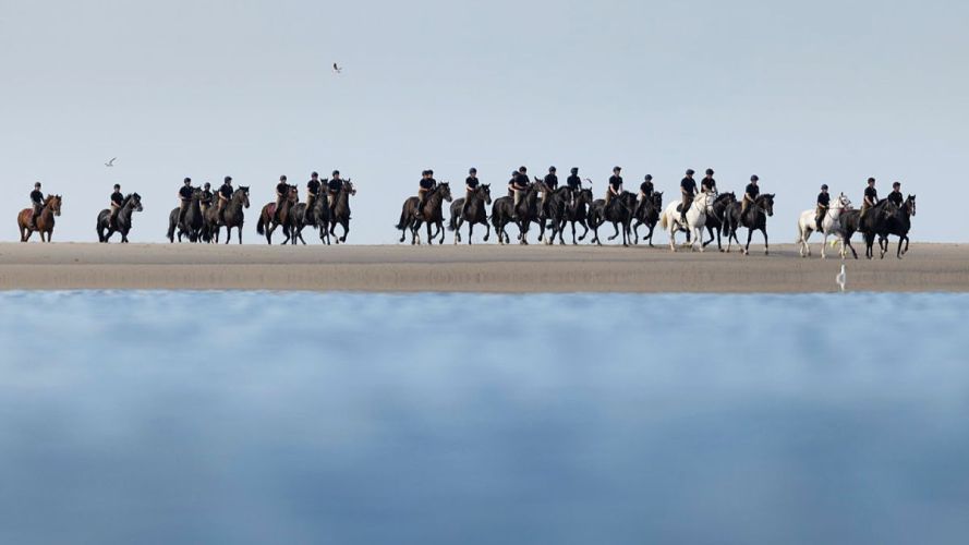 Household Cavalry Horses Hayling Island cred MOD