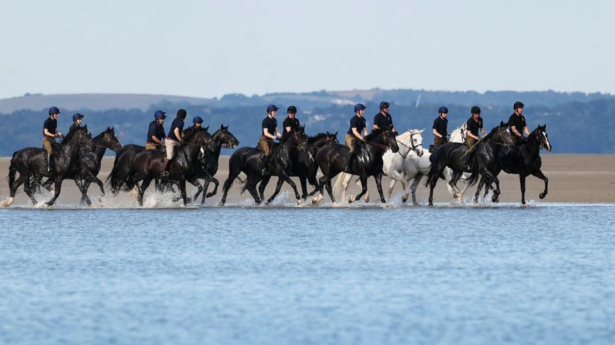 Household Cavalry Horses Hayling Island cred MOD