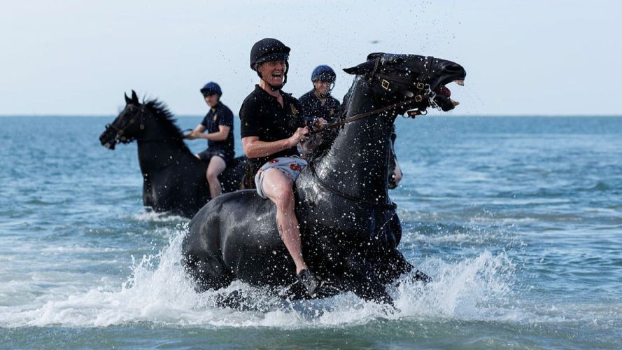 Household Cavalry Horses Hayling Island cred MOD