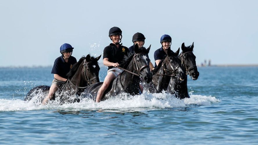 Household Cavalry Horses Hayling Island cred MOD