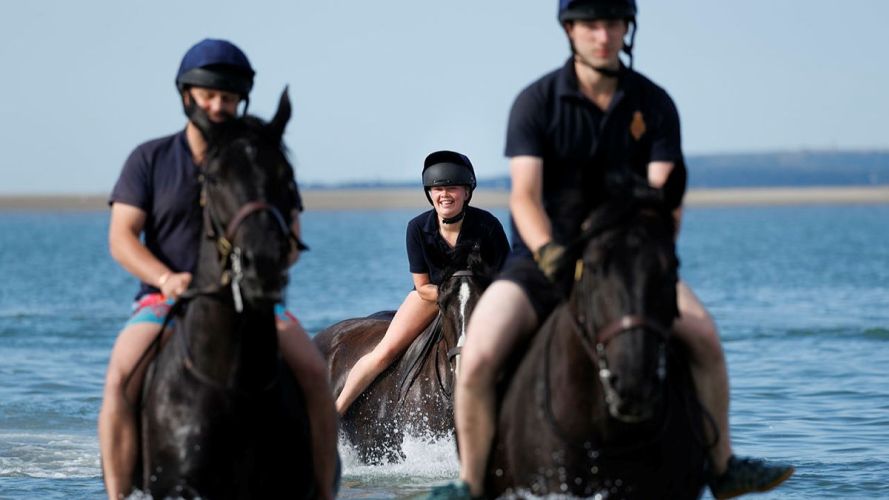 Household Cavalry Horses Hayling Island cred MOD