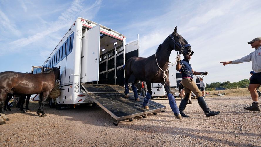 Household Cavalry Horses Hayling Island cred MOD