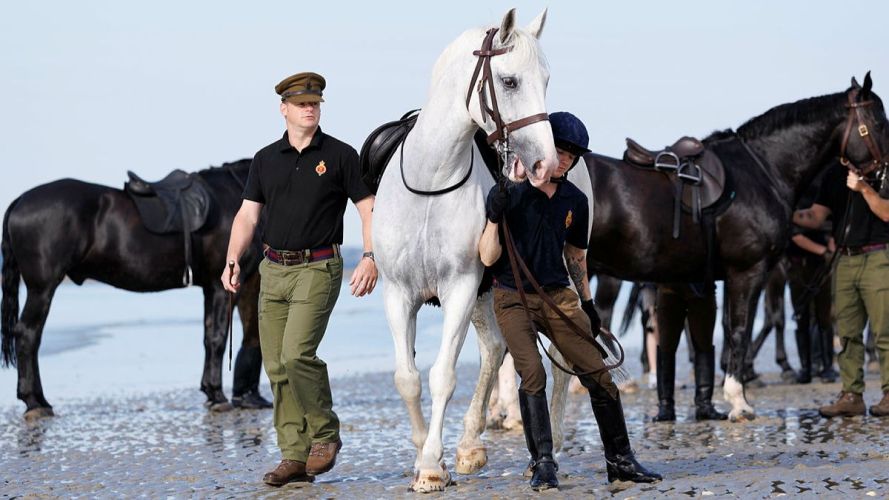 Household Cavalry Horses Hayling Island cred MOD