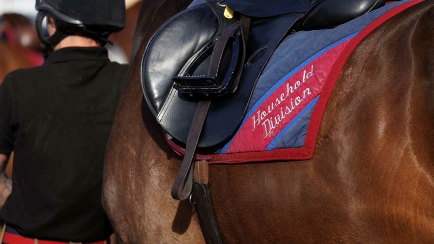 Household Cavalry Horses Hayling Island cred MOD