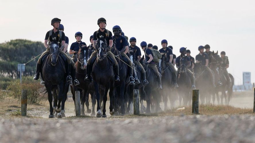 Household Cavalry Horses Hayling Island cred MOD