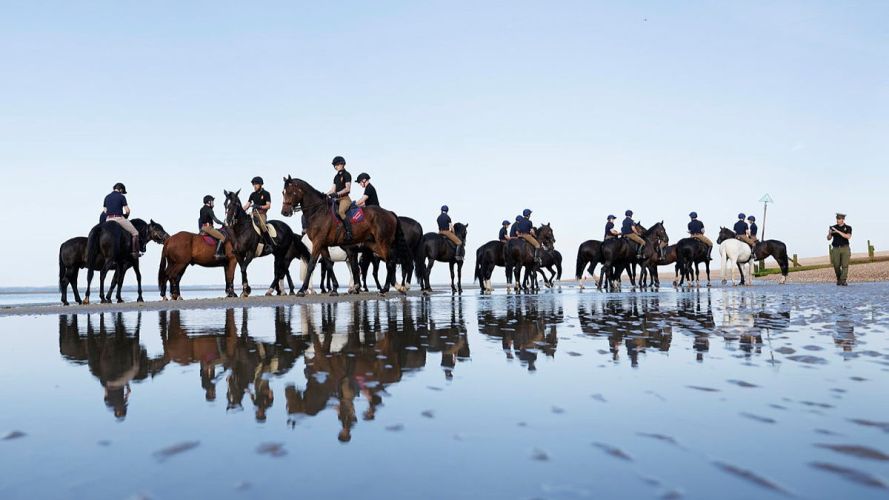 Household Cavalry Horses Hayling Island cred MOD
