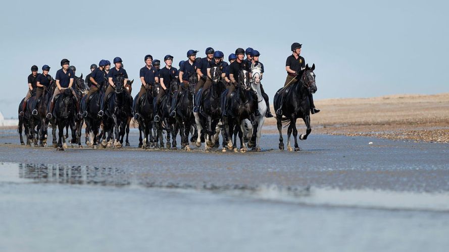 Household Cavalry Horses Hayling Island cred MOD